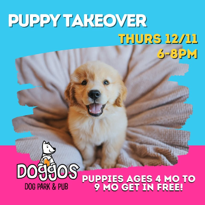 Puppy Takeover