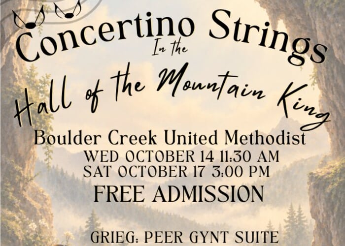 Concertino Strings October Concert