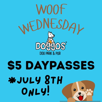 Woof Wednesday!