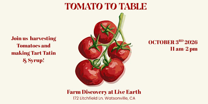 Tomato To Table