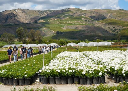 SEEAG's Free "Farm Day Every Day" At Otto & Sons Nursery in Fillmore