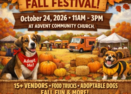 Paws For A Cause