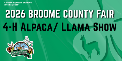 4-H Alpaca Show