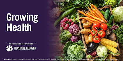 Growing Health: Anderson County