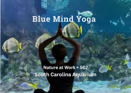 SC7 + Nature at Work: Blue Mind Yoga at the South Carolina Aquarium