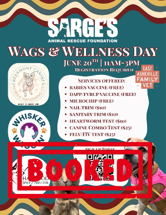 Sarge's Wellness Clinic