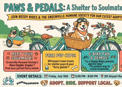🐾 Paws & Pedals: Shelter to Soulmate! 🚲