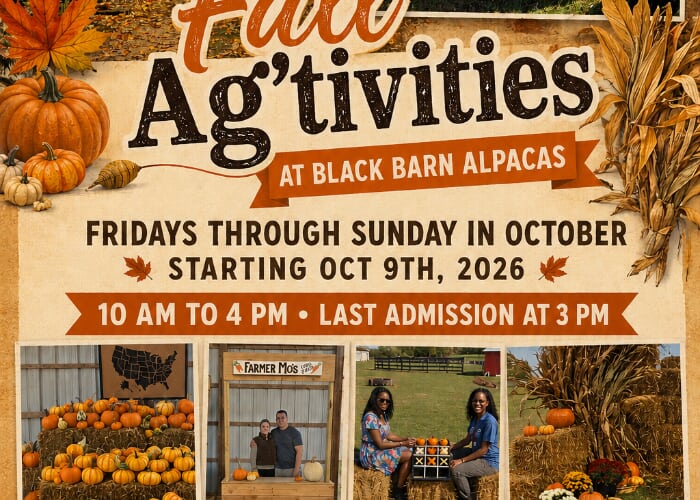 Black Barn Alpacas' Fall 'Ag'tivities