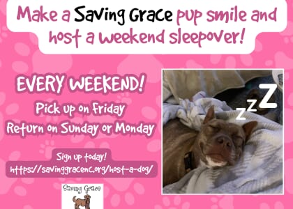 Saving Grace Sleepover Program