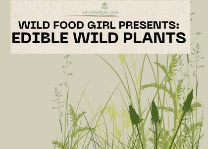 Edible Wild Plants with Wild Food Girl
