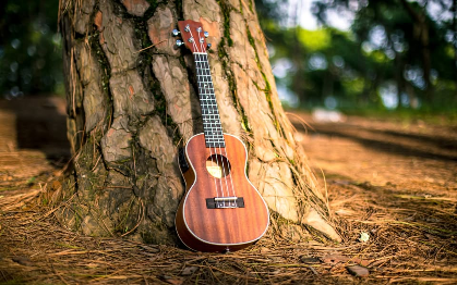 Active Adults: Ukulele Classes