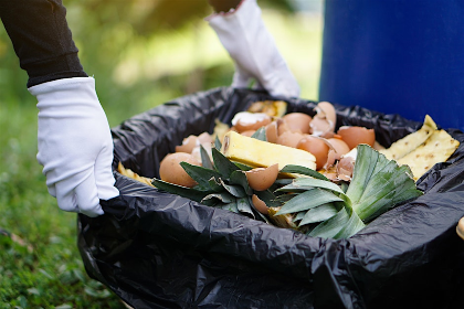 Oh, Scrap! Composting Workshop for Beginners