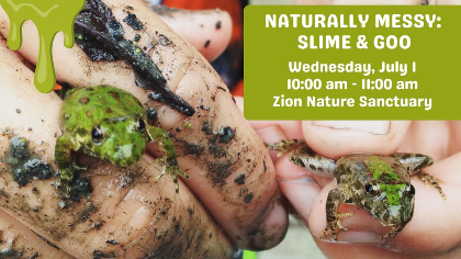 Naturally Messy: Slime & Goo
