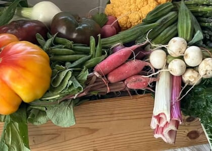 Summer Harvest Dinner 2026