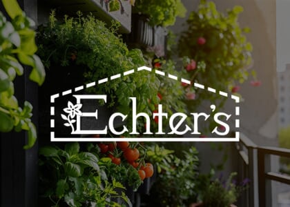 Small Space Gardening