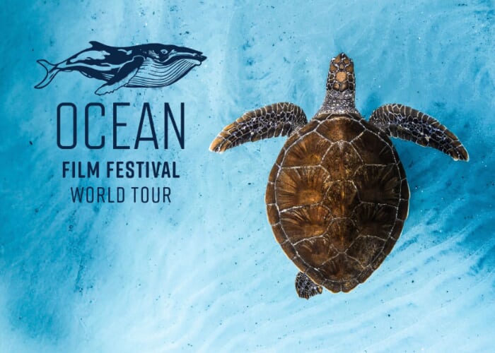 Ocean Film Festival World Tour Santa Cruz