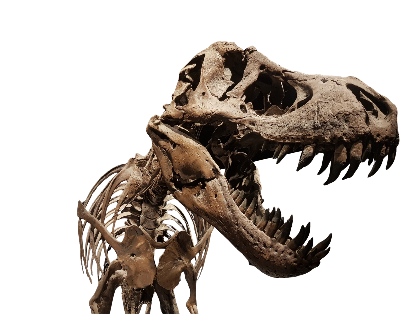 Dinosaur Duel: Melee in the Mesozoic!