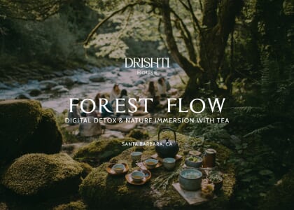Forest Flow - Digital Detox & Nature Immersion with Tea