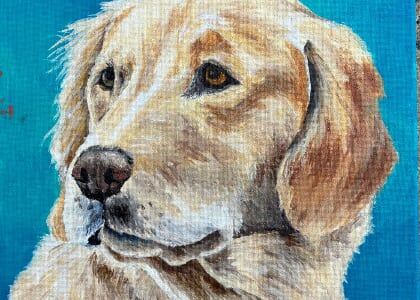 Paint your Pet at Vino & Van Gogh (V&VG)