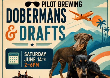 Dobermans & Drafts   ✈️