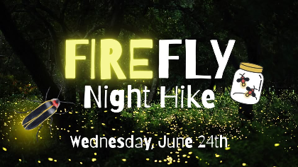 Firefly Night Hike