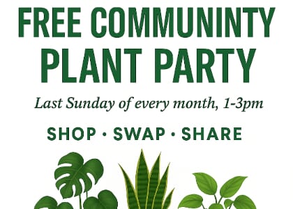 Plants, Pints & Pizza