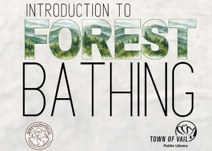 Introduction to Forest Bathing