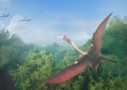 Life Chronicles at VieVR: Free-Roaming Virtual Reality for the Whole Family