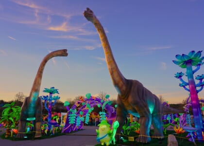 LuminoCity's Dino Safari Lights Festival Roars into Charlotte/Concord