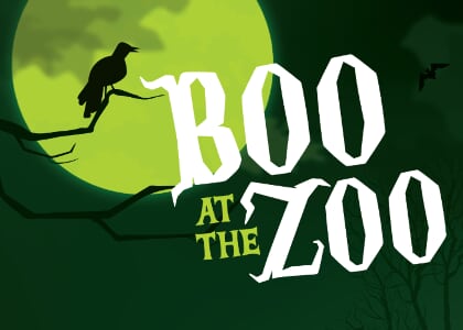 Boo at the Zoo