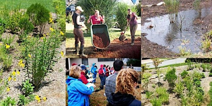 Monthly Volunteer Event! Rain Garden Workshop