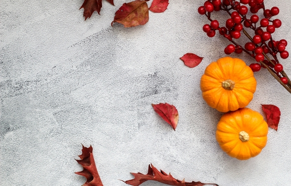 Autumn Harvest Luncheon: Harvesting Health & Community