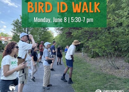 Bird ID Walk