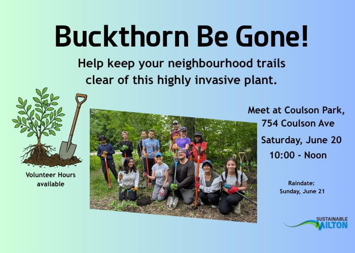 Buckthorn be Gone! Invasive Weed Removal