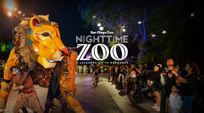 Nighttime Zoo