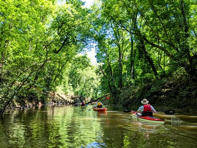 Kayak Tour with the Bay Experience Team