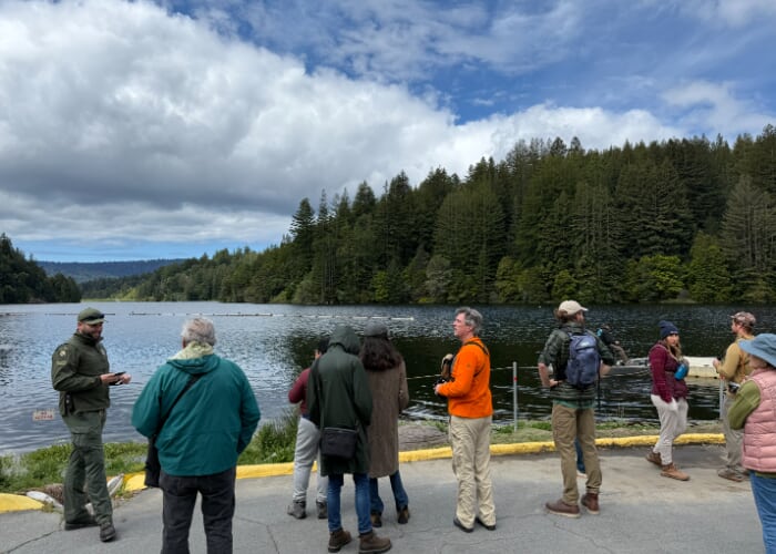 Fall Birding at Loch Lomond Reservoir