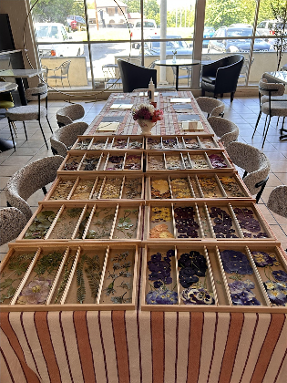 Pressed Floral Moons