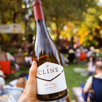 Cline Country Bluegrass Festival