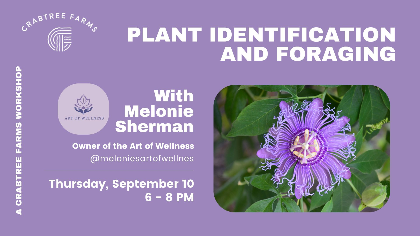 Plant Identification and Foraging