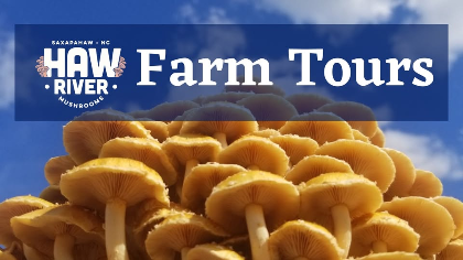 Mushroom Farm Tour
