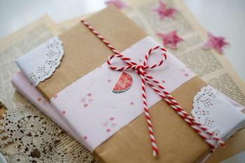 Summer Camp Blind Date Book Swap