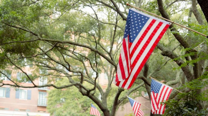 American Gardens SC250