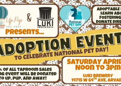 National Pet Day Adoption Event