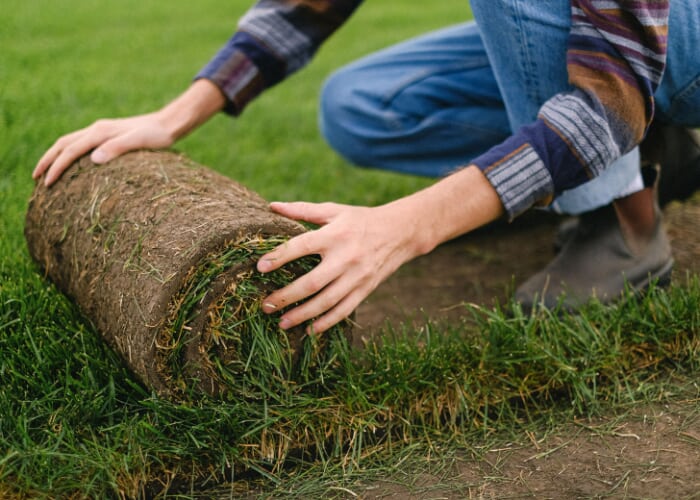 Free Xturf Turf Installation Training