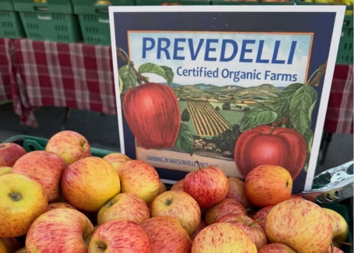 Taste the Difference: An Apple Tasting with Prevedelli Farms