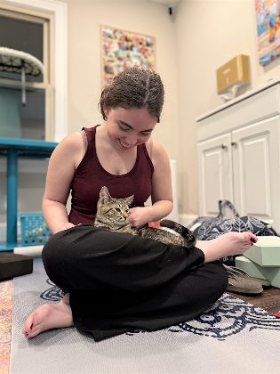 Gentle Yoga with Kittens at Whiskerville Cat Cafe