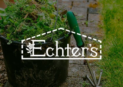 Weeds – The Uninvited Guests in Your Garden