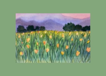 Watercolor Painting Workshop