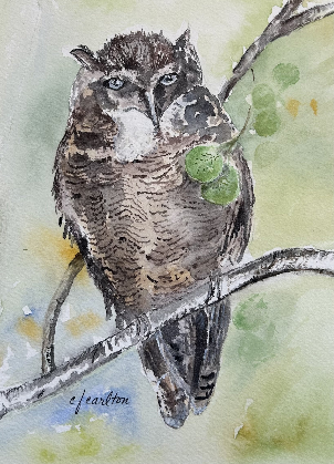Watercolor Works by Claudette Carlton